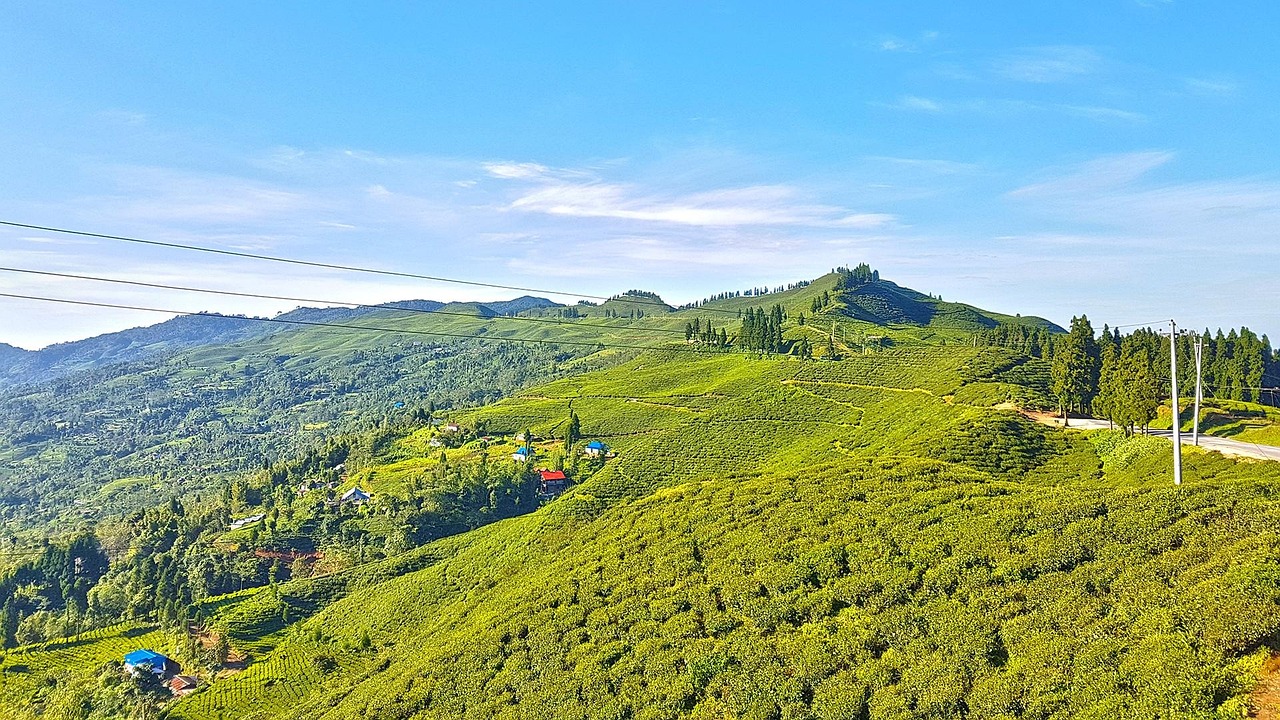 Scenic view of the lush hills and terraced fields of Ilam, Nepal, with mist-covered mountains in the background, highlighting the serene beauty of this lesser-known region.