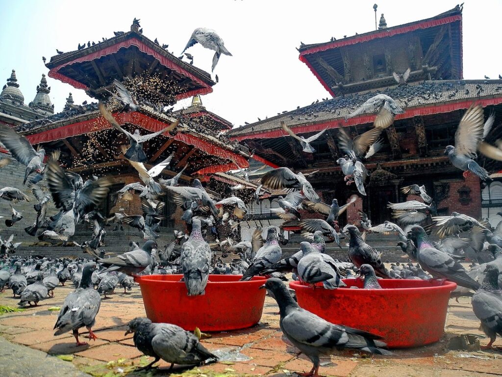 Kathmandu's temples stand as timeless symbols of Nepal's rich spiritual heritage and architectural brilliance.