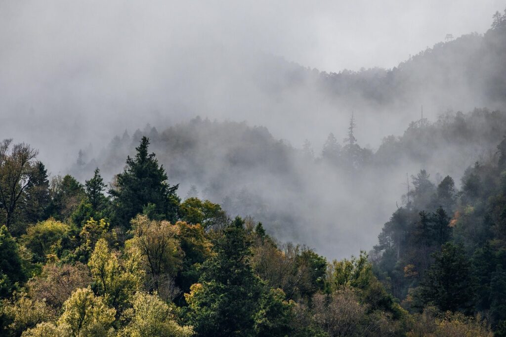 monsoon-forests-in-the-nepal-min Foggy mountain landscape in Nepal during monsoon, with clouds covering the lush green hills.