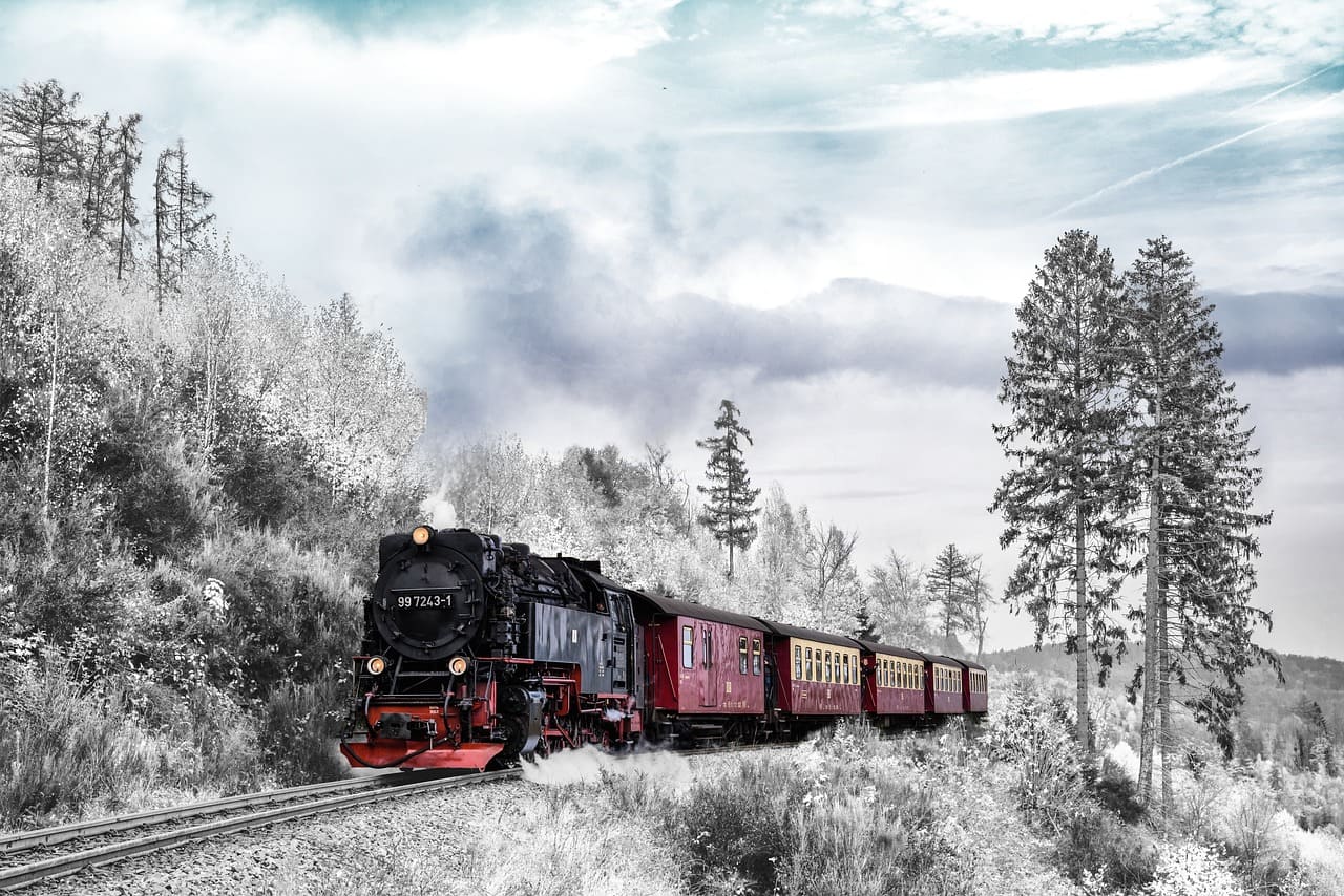 Experience the world on rails: 12 of the most amazing train journeys that combine luxury, adventure, and breathtaking scenery