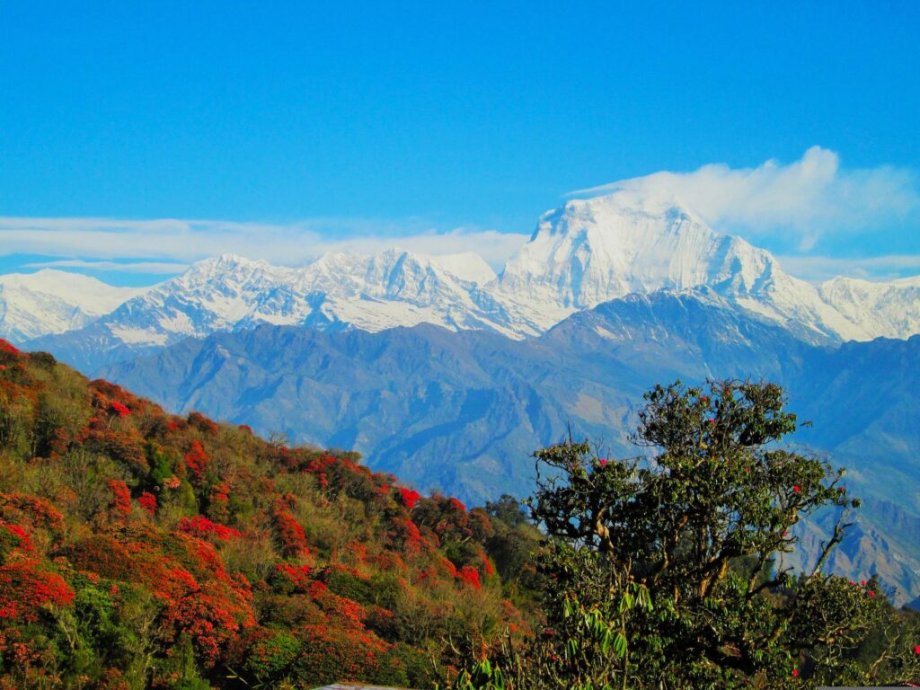 Most charming tourist destinations in Nepal featuring the Himalayas, ancient temples, scenic lakes, trekking trails, and cultural heritage sites in 2026.