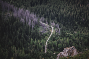 What I Learned From Travelling Beyond the Tourist Trail